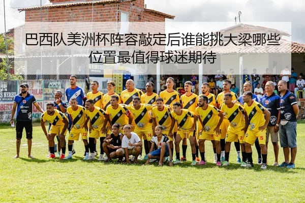 巴西队美洲杯阵容敲定后谁能挑大梁哪些位置最值得球迷期待